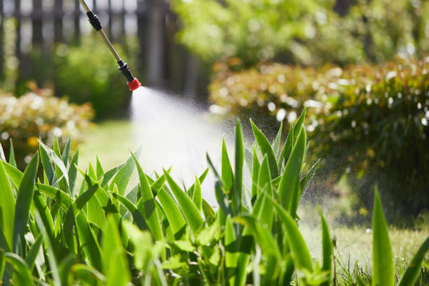 24/7 Emergency Wasp Removal experts in North Hartsville, SC